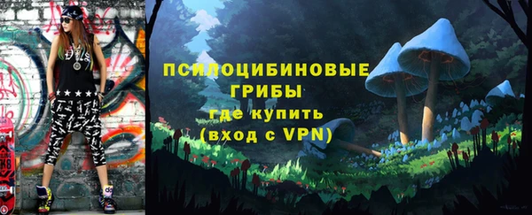 a pvp Киренск