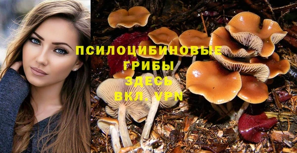 a pvp Киренск