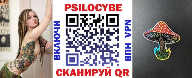 где купить наркоту  Малаховка  Псилоцибиновые грибы Psilocybe 